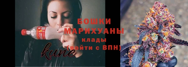 mix Богородицк