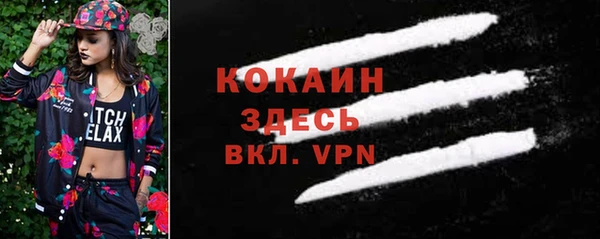mix Богородицк