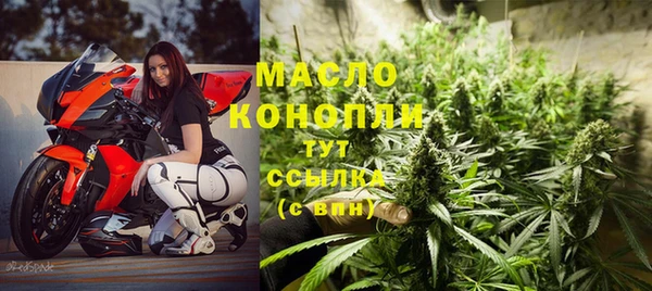 mix Богородицк