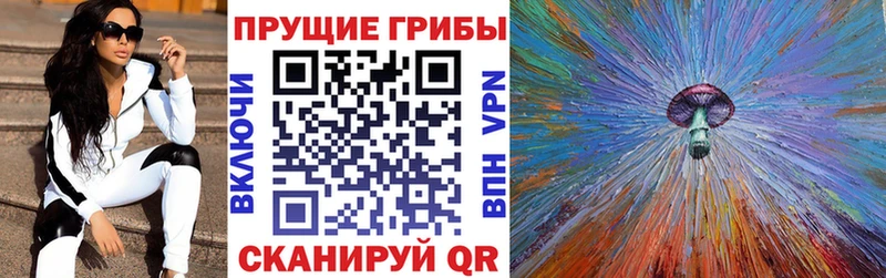 Купить  Жигулёвск  Псилоцибиновые грибы GOLDEN TEACHER 